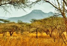 Four amazing, community-run places to visit in Swaziland