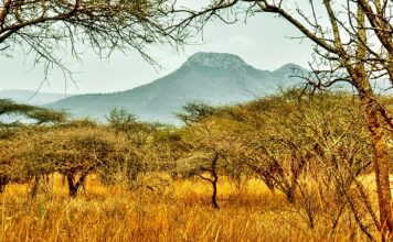 Four amazing, community-run places to visit in Swaziland