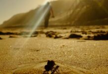 A week in the Garden Route, Western Cape