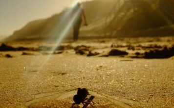 A week in the Garden Route, Western Cape