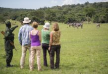 5 Adventures That Will Help You Lose Weight Lake Mburo Walking Safari