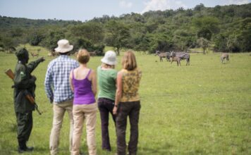 5 Adventures That Will Help You Lose Weight Lake Mburo Walking Safari