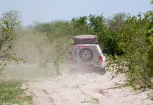 A self-drive safari in South Luangwa National Park