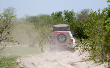 A self-drive safari in South Luangwa National Park