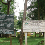The Beautiful Kakamega Forest Nature Reserve – Kenya Kakamega Forest