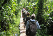Budongo Eco Lodge, Where Rejuvenation Reigns Budongo Forest