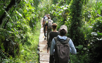 Budongo Eco Lodge, Where Rejuvenation Reigns Budongo Forest