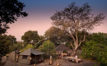 Amazing community campsites in the Okavango Delta