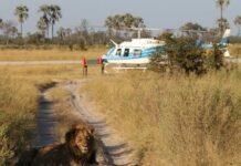 Helicopter safari in the Okavango Delta