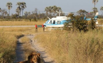 Helicopter safari in the Okavango Delta