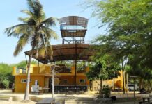 Senegal – Zebra Bar