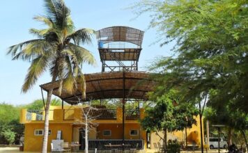 Senegal – Zebra Bar