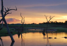 Southern Zambia: Victoria Falls, Lake Kariba and the Zambezi