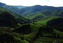 Rwanda Hills