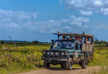 4×4 Self Drive Africa: Offering Car Rentals Across Africa Visit South Africa