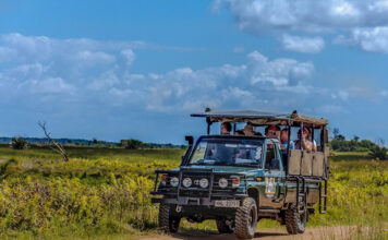 4×4 Self Drive Africa: Offering Car Rentals Across Africa Visit South Africa