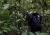 Chimpanzee Tracking in Kibale