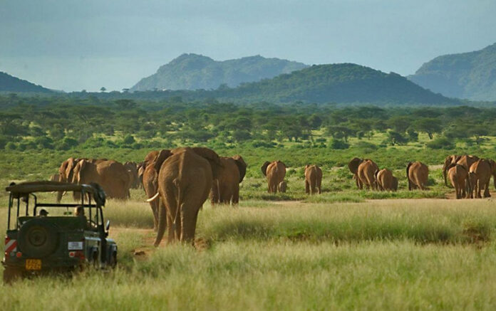 Samburu National Reserve Kenya