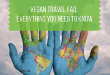 Vegan Safaris in Rwanda: What You Need to Know Vegetarian Travel
