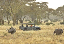 Guide to Hiring 4×4 SUV All Terrain Vehicle in East Africa East Africa Game Drive