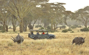 Guide to Hiring 4×4 SUV All Terrain Vehicle in East Africa East Africa Game Drive