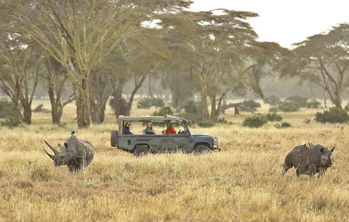 East Africa Game Drive