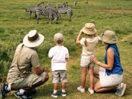 Captivating National Parks in Uganda to Visit with Kids