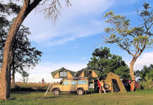 South Africa Self-Drive Safari (From Kruger to Cape) South Africa Self Drive