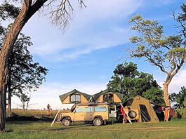 South Africa Self-Drive Safari (From Kruger to Cape) South Africa Self Drive