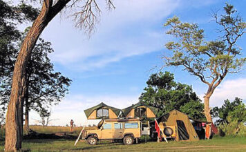 South Africa Self-Drive Safari (From Kruger to Cape) South Africa Self Drive